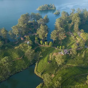 The Farm **** Dickoya